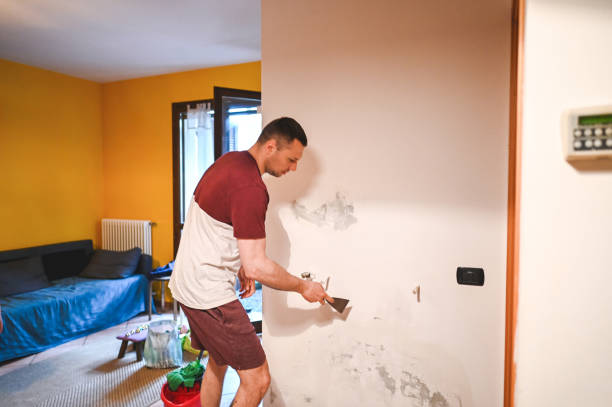 Best Mold Removal and Inspection  in Port Isabel, TX
